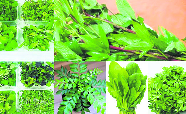 ఆహారంపై  ప్రత్యేక శ్రద్ధ 
2