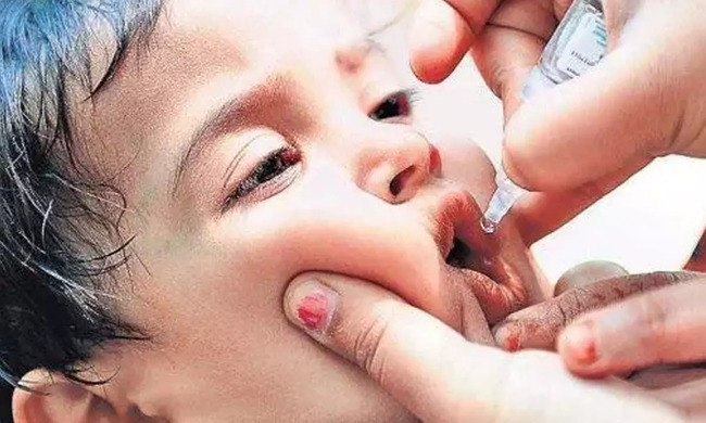 పల్నాడు1