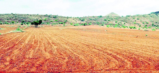 ఫ్రీహోల్డ్‌ భూములకు పరిశీలన గ్రహణం 1