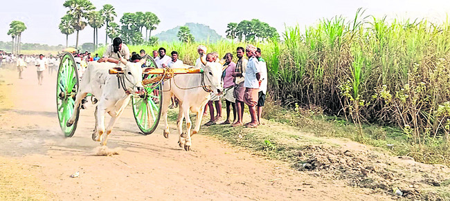 అలరించిన రాష్ట్ర స్థాయి ఎడ్లబళ్ల పోటీలు2