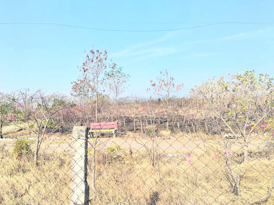 మోడు వారిన పల్లె ప్రకృతి వనం1