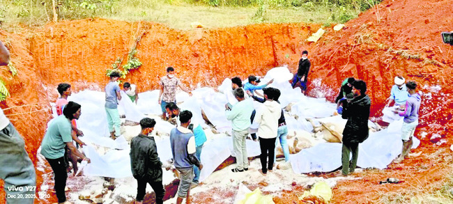 పశువుల కంటైనర్‌ బోల్తా 1