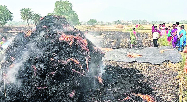 కూర్మనాథున్ని దర్శించుకున్న వరప్రసాద్‌రెడ్డి   4