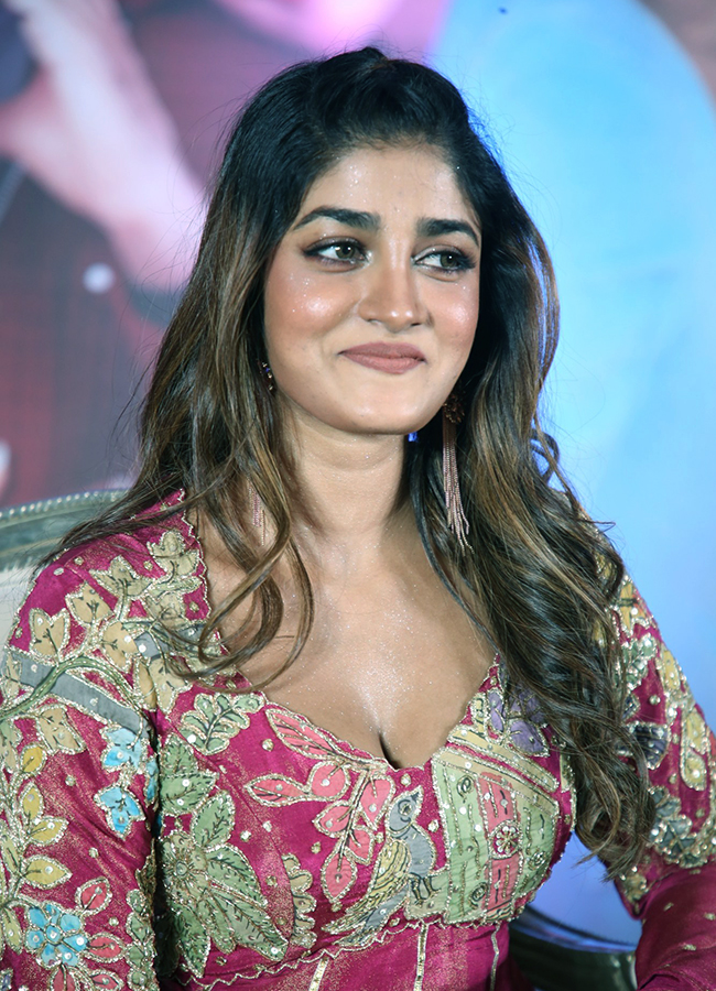 Tollywood Actress Dimple Hayathi HD Photos23