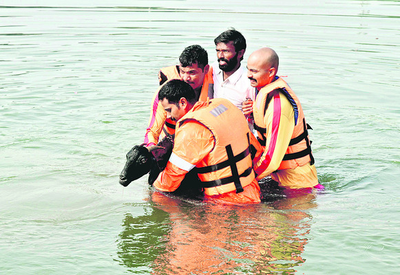 విపత్తులను ఎదుర్కొనేలా..2