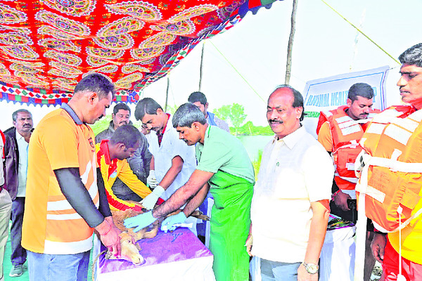 విపత్తులో ప్రజలు.. కాపాడిన రెస్క్యూ టీమ్స్‌1