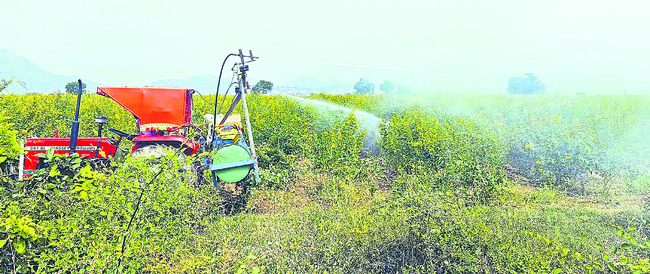 కంది పోయేంత కష్టం..! 1