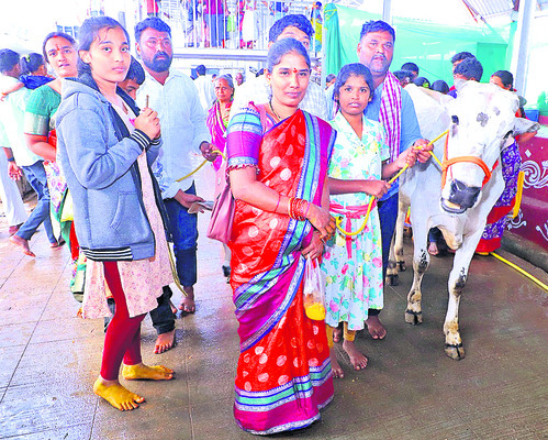 దాడిచేసిన వ్యక్తులపై కేసు1