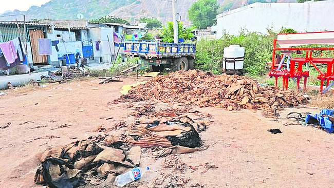 వినుకొండలో అగ్నిప్రమాదం 1