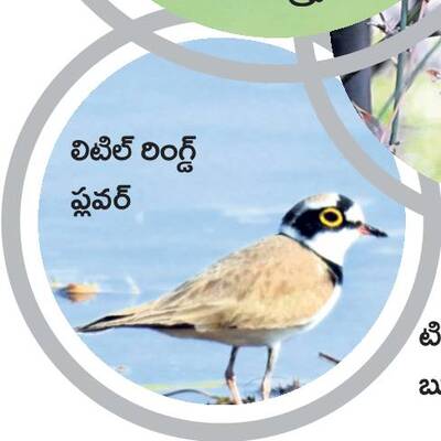 రామసక్కని నేలకు రామ్సర్‌3