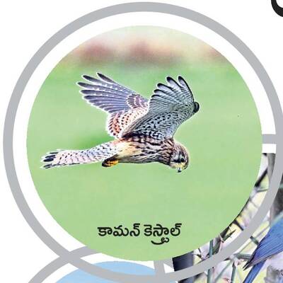 రామసక్కని నేలకు రామ్సర్‌1