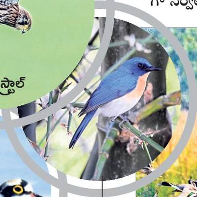 రామసక్కని నేలకు రామ్సర్‌2