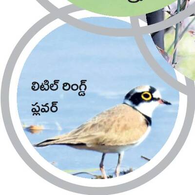 రామసక్కని నేలకు రామ్సర్‌3