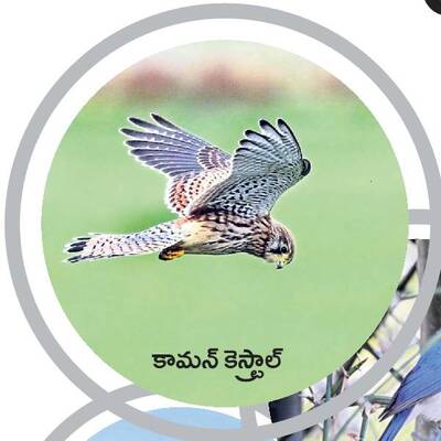 రామసక్కని నేలకు రామ్సర్‌1