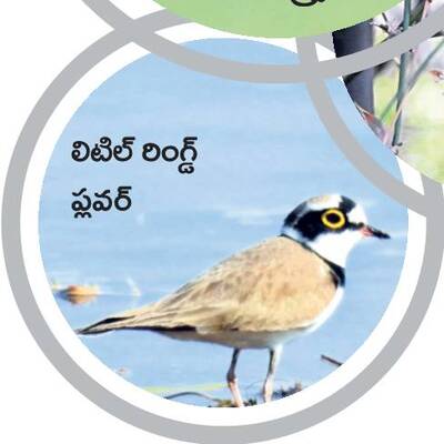 రామసక్కని నేలకు రామ్సర్‌3