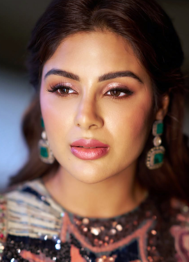 Samyuktha looks stunning in a floral dress (photos)10