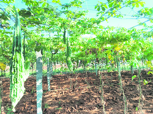 మంత్రులే లేఖలు రాయడం బాధాకరం1