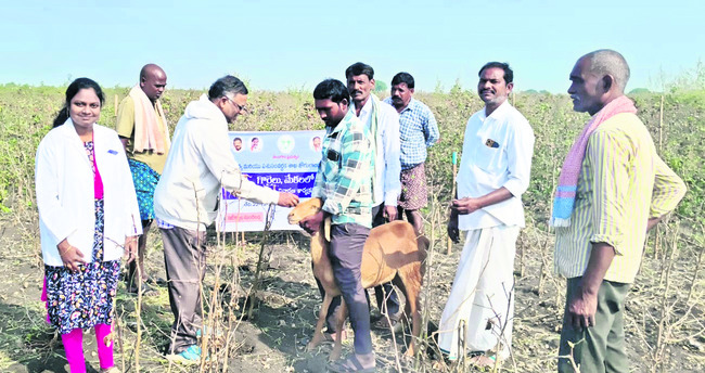 బీచుపల్లి క్షేత్రంలో  దేవాదాయశాఖ కమిషనర్‌ 
1