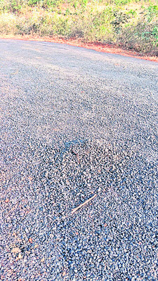 తారురోడ్డు పనుల్లో నాణ్యతకు తిలోదకాలు 1