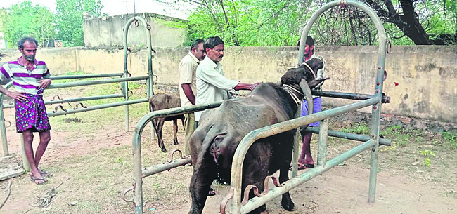 అంబా అని అరిచినా...2