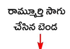 లాభాల సాగు3