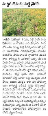 పెసా మహోత్సవానికి పూసూరు సర్పంచ్‌1