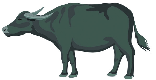 అంబా అని అరిచినా...1