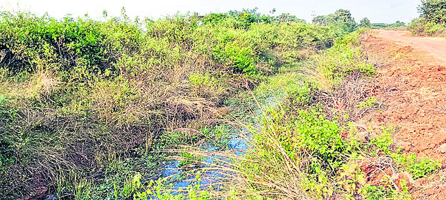 పైడిగాంపై నిర్లక్ష్యమేలా..?1