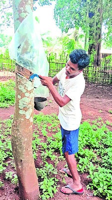 రబ్బరు విప్లవం 3
