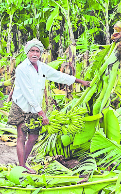 మోంథా తుపాను సాయంపై చంద్రబాబు మాటలు 1