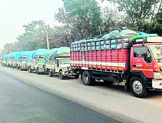 పత్తి రైతులకు తప్పని తిప్పలు 1