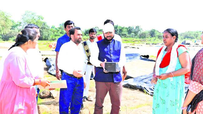 దండిగా ధాన్యసిరులు1