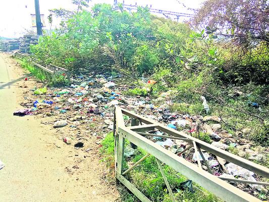 పారిశుద్ధ్యం అస్తవ్యస్తం1