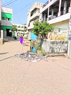 పారిశుద్ధ్యం అస్తవ్యస్తం2