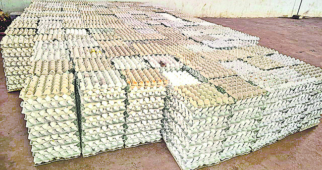 కోడిగుడ్డు.. ఆల్‌టైమ్‌ రికార్డు..1