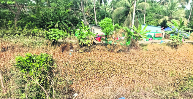 ప్రధాన పంట కాలువనూ పట్టించుకోరా?1