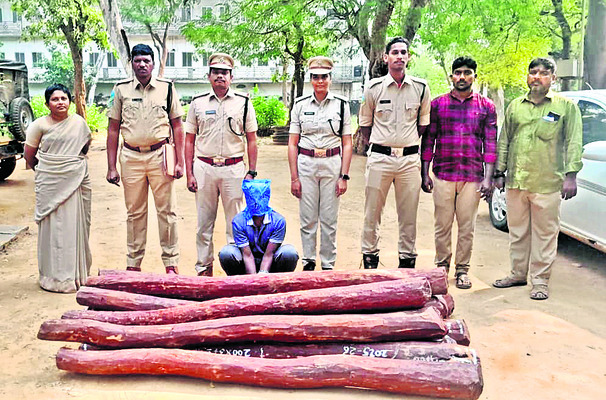 15 ఎర్రచందనం దుంగలు స్వాధీనం1