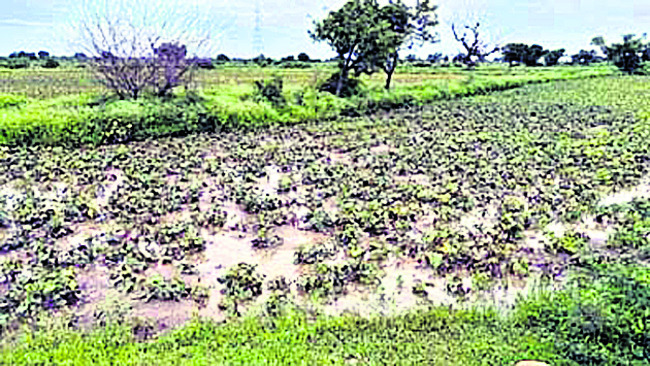 బ్యానర్‌... 1