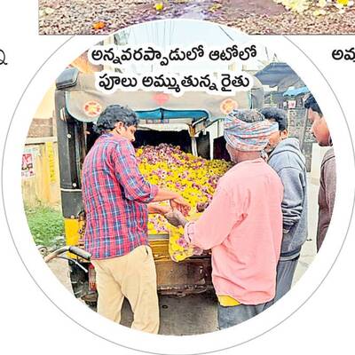 విరి విలాపం2