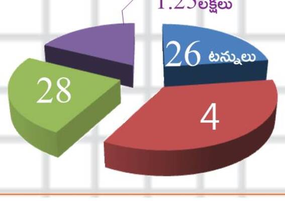 డంపింగ్ యార్డులు అస్తవ్యస్తం2