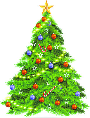 నిర్మల్‌6