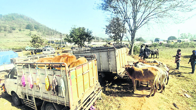  ప్రాణం ఉండగానే జీవశ్చవంలా!1