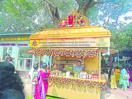 సత్యదేవుని సన్నిధిలో మహాపచారం1