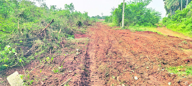 ఎన్నో సంవత్సరాల క్రితం ఓ ట్రస్ట్‌కు ప్రభుత్వం భూములు కే1
