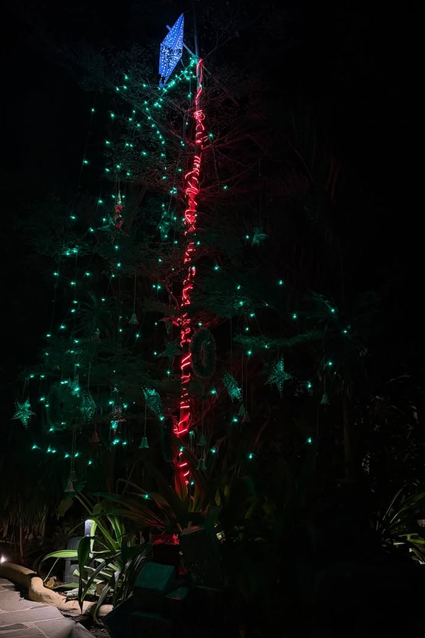 Actress Supritha Christmas Celebrations Photos18