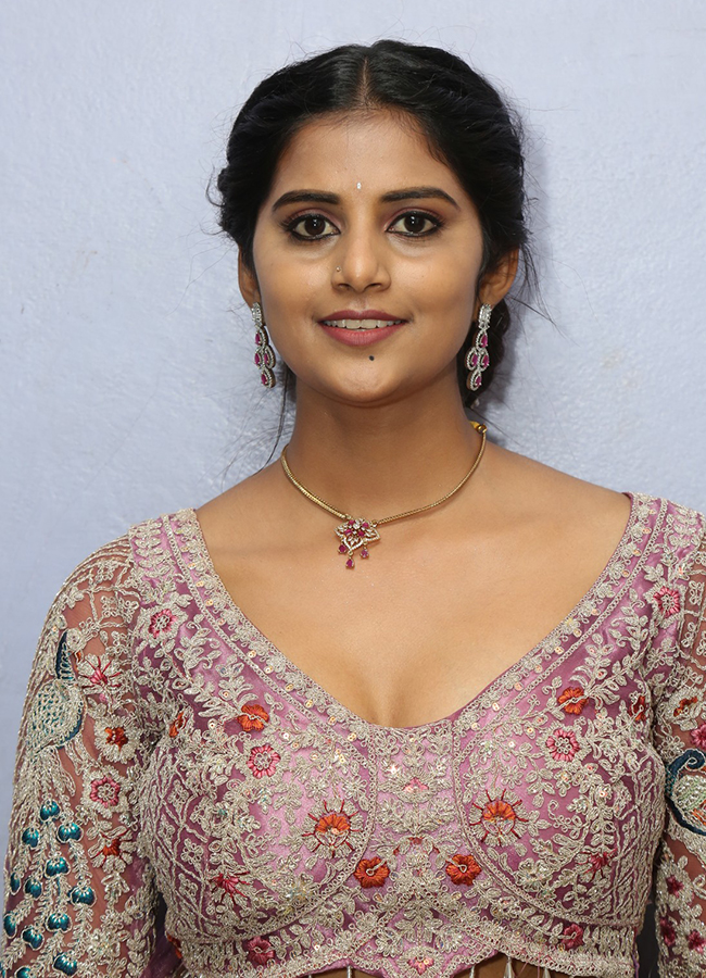 Diamond Dacoit Movie Press Meet Photos3