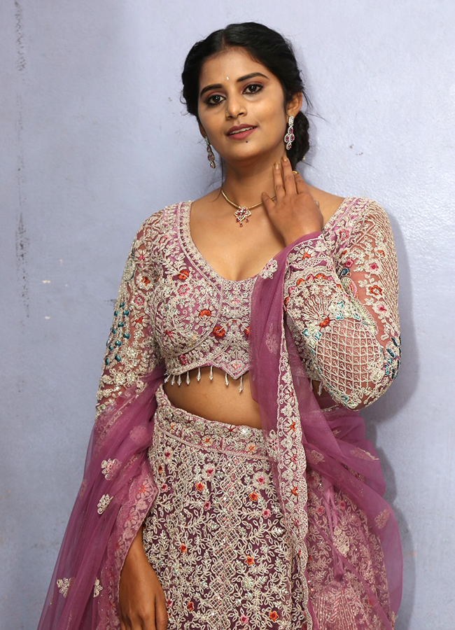 Diamond Dacoit Movie Press Meet Photos7