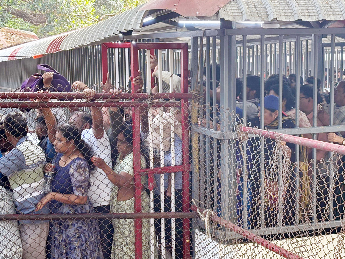 Huge Crowd At Tirumala Photos7