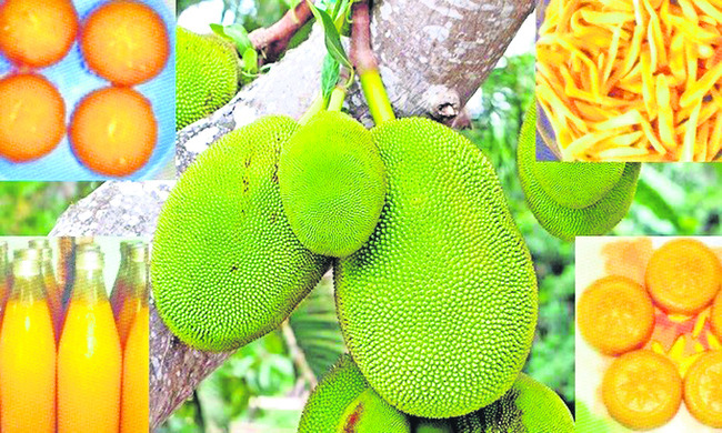 ఆర్‌ఏఆర్‌ఎస్‌.... సర్కారు కేర్‌లెస్‌ 2