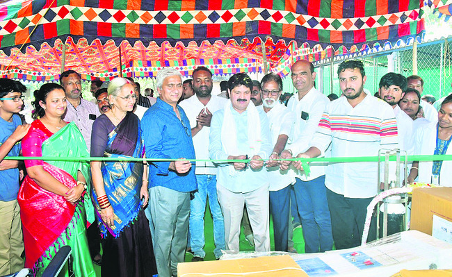 పెద్దమ్మతల్లికి  పంచామృతాభిషేకం1